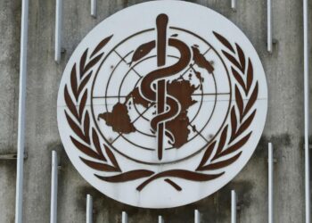 El riesgo de gripe aviar sigue siendo bajo pese a la primera muerte en EU por el virus: OMS