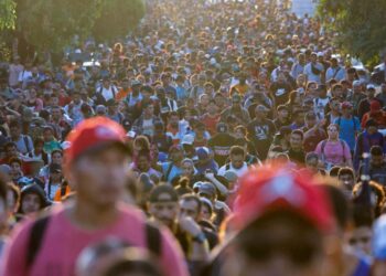 Comar reporta baja de 44% en solicitudes de refugio de migrantes