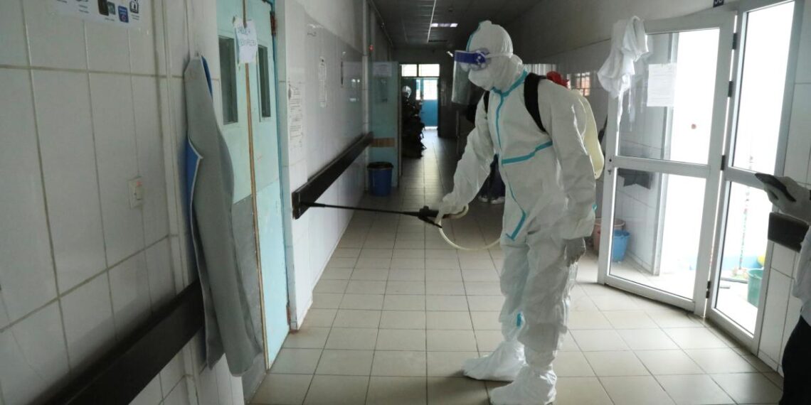Investigadores desarrollan inhibidores basados en nanocuerpos para enfrentar el virus del ébola