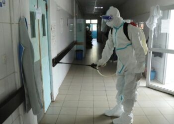 Investigadores desarrollan inhibidores basados en nanocuerpos para enfrentar el virus del ébola