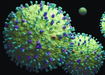 Cuatro puntos para entender el metapneumovirus humano que prende las alarmas en China