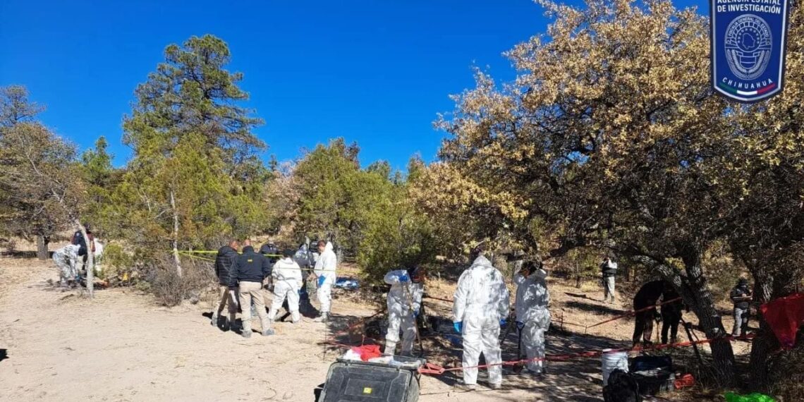 Localizan 10 cuerpos, la mayoría desmembrados, en seis fosas clandestinas en Chihuahua