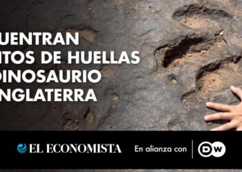 Encuentran cientos de huellas de dinosaurio en Inglaterra