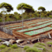 Destruyen 15 campamentos utilizados para cultivar enervantes en Ocampo, Chihuahua