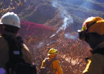 El viento, enemigo letal de Los Ángeles