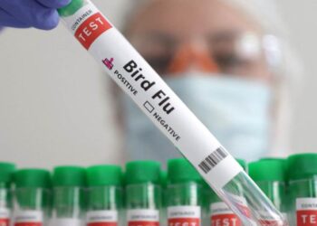 Murió el primer paciente enfermo con gripe aviar en Estados Unidos