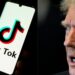TikTok tacha de "ficción" su posible venta en Estados Unidos a X de Elon Musk