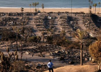 Gobernador de California reporta 24 muertos tras 6 días de abrasadores incendios en Los Angeles