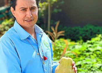 Los huertos en casa, una tendencia beneficiosa en las grandes ciudades