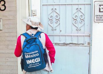 Gasto del Inegi caerá 17.5% este año; afectará encuestas