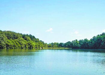 Estudio documenta amenazas de extinción de especies de agua dulce mundiales