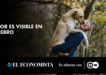 El amor es visible en el cerebro