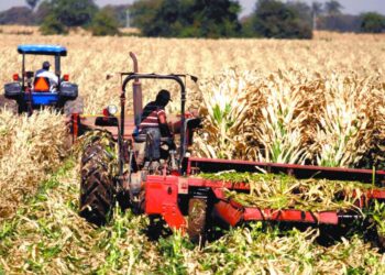 Maíz y soya subieron tras reporte de cosechas