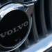 8 de 10 autos que vende son verdes
