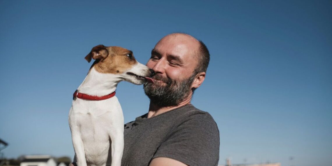 Perro sobrevive a incendio en Los Ángeles y se reencuentra con su dueño