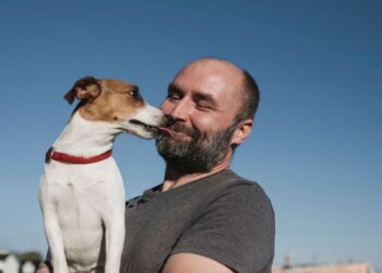 Perro sobrevive a incendio en Los Ángeles y se reencuentra con su dueño