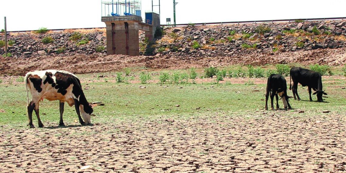 Durante 2024 Querétaro enfrentó la mayor sequía en seis décadas