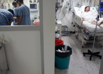 SSa mantiene vigilancia sobre el metapneumovirus; descarta riesgo para México