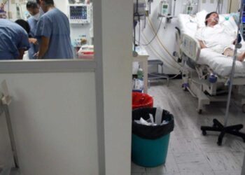 SSa mantiene vigilancia sobre el metapneumovirus; descarta riesgo para México