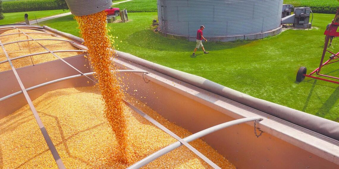 Soya y maíz subieron en mercado volátil por preocupación por el clima en Sudámerica