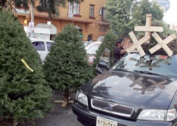 ¿Dónde reciclar mi árbol de Navidad en CDMX?