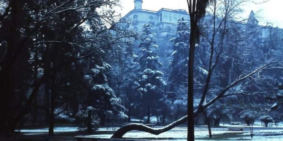 ¿Cómo fue posible? La insólita nevada que sorprendió a la CDMX en enero de 1967 FOTOS