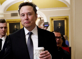 ¿Qué hay detrás de la injerencia de Elon Musk en las elecciones alemanas?