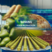 AgroBank financia al sector agroalimentario con 33.548 millones de euros en 2024