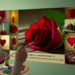 El perfume dulce y sexy para una cita este 14 de febrero (y que haya una segunda)