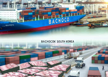 Bachoco incia exportaciones de carne de cerdo a Corea del Sur