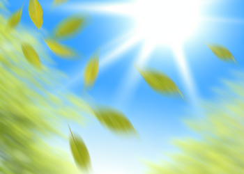 Agradable, soleado y con brisas, así el clima para este sábado