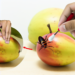Con solo 1 fruta, así puedes eliminar las cucarachas de tu casa en menos de 1 semana