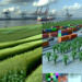Impacto de aranceles en exportaciones mexicanas será de 475 mil mdd: Consejo Nacional Agropecuario