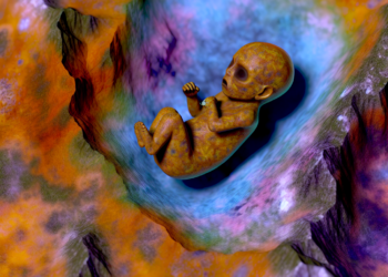 ¿Cuál es el estado de salud del bebé abandonado en Tultitlán? Esto informa el ISSSTE