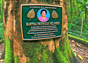 Muere Martha Patricia Velarde Ortega, defensora del Río Sonora