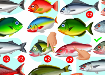 Cómo elegir pescado fresco y de kilos completos, según Profeco