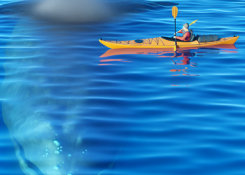 Viral: Joven kayakista es tragado por ballena y el momento se hace viral en redes