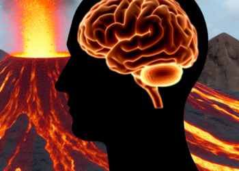 La erupción del Vesubio convirtió el cerebro de una persona en vidrio