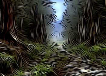 Matan a Sofía Raygoza, madre buscadora hace dos años reportó la desaparición de su hija