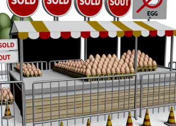 Limitan compras de huevos debido a gripe aviar