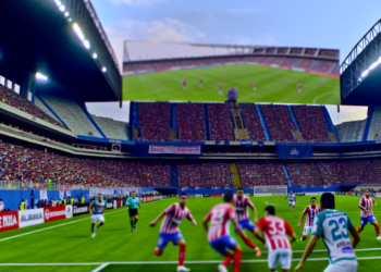 Descarga nuestra app