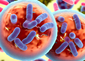 Diseño Sin Título 2025 02 12t182248.022