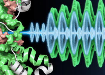 proteina lenguage humano origen