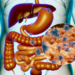 ¿Cómo actúa realmente el gluten en tu cuerpo?