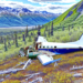 ¿Qué se sabe sobre la avioneta estrellada en Alaska?