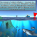 ¿Por qué no pudieron salvar a los delfines en Tasmania? – DW – 20/02/2025