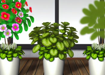 3 plantas de interior que estallan de flores en primavera con estos pocos cuidados