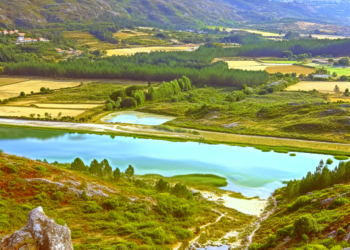 "No puedo girar": Filtran audios de Liam Lawson en GP de China 2025 ¿Sus últimos en Red Bull?