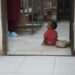 La Jornada - Hay bebés entre las víctimas de violación en la guerra en Sudán: Unicef