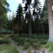Bialowieza, el bosque en el que centenares de inmigrantes arriesgan sus vidas para tratar de ingresar a Europa